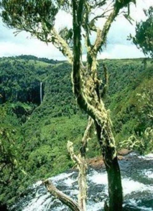 Maverick Camp, Rondavels And Homestay Nyandarua Bagian luar foto