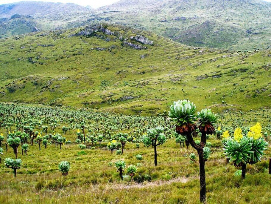 Maverick Camp, Rondavels And Homestay Nyandarua Bagian luar foto